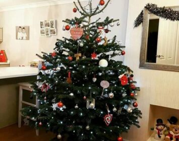 Christmas trees 2021