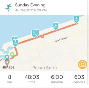 Arpan's January 5k route